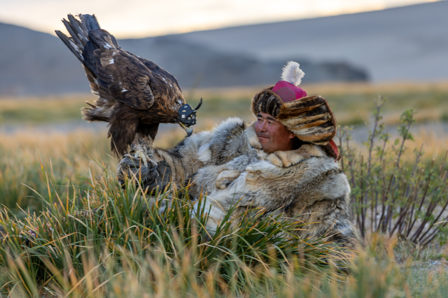 Baurjan resting with his golden eagle in the early morning, wrapped in a traditional fur coat to protect against the cold of western Mongolia (image by Ingrid Koedood)