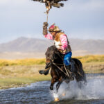 Tilekjan is clearly enjoying himself, galloping through the water with his golden eagle (image by Ingrid Koedood)
