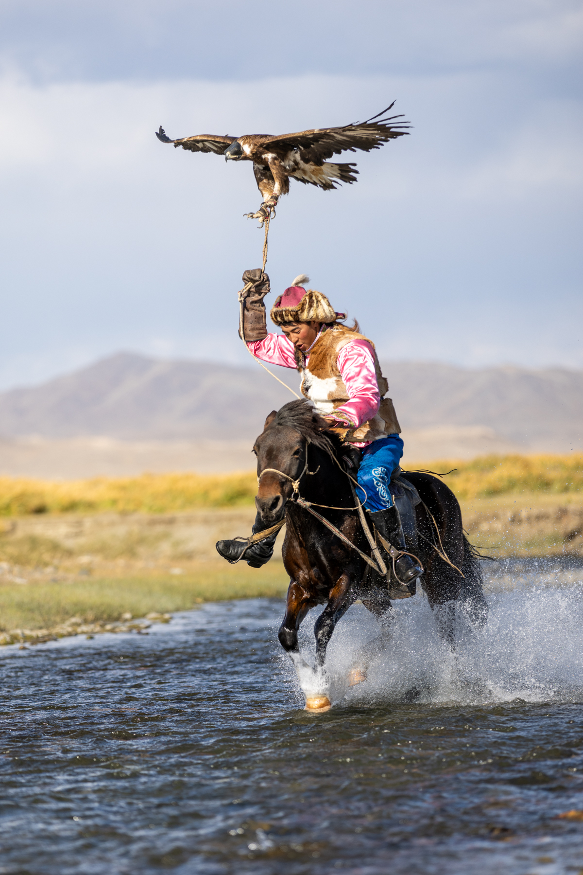 Tilekjan is clearly enjoying himself, galloping through the water with his golden eagle (image by Ingrid Koedood)