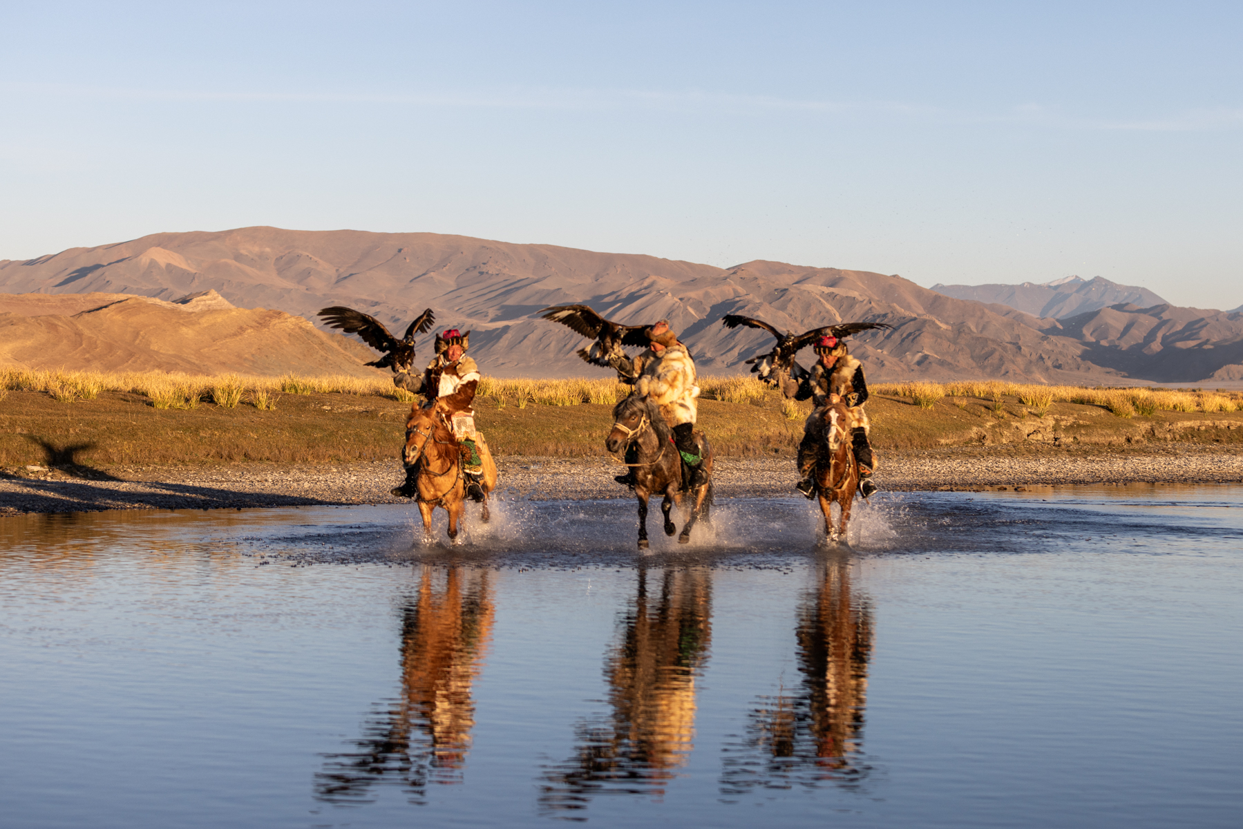 Early in the morning, just after sunrise, the eagle hunters gallop through the water with their golden eagles (image by Ingrid Koedood)