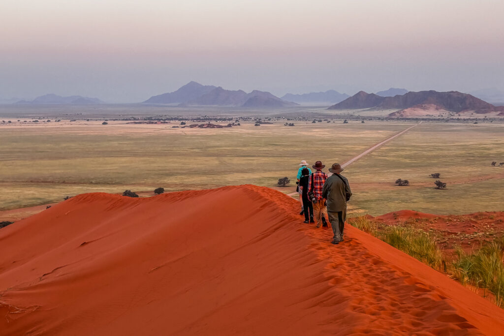 From a crest of 'Elim Dune', the vast plans of the Namib open towards the distant Naukluft Mountains - a landscape of extraordinary scale and colour (image by Virginia Wilde)