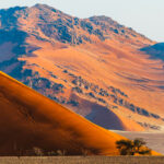 Hikers appear like tiny ants as they start to climb Dune 45, one of the most distinctive red sand dunes in the Sossusvlei area of Namibia's Namib-Naukluft National Park (image by Virginia Wilde)