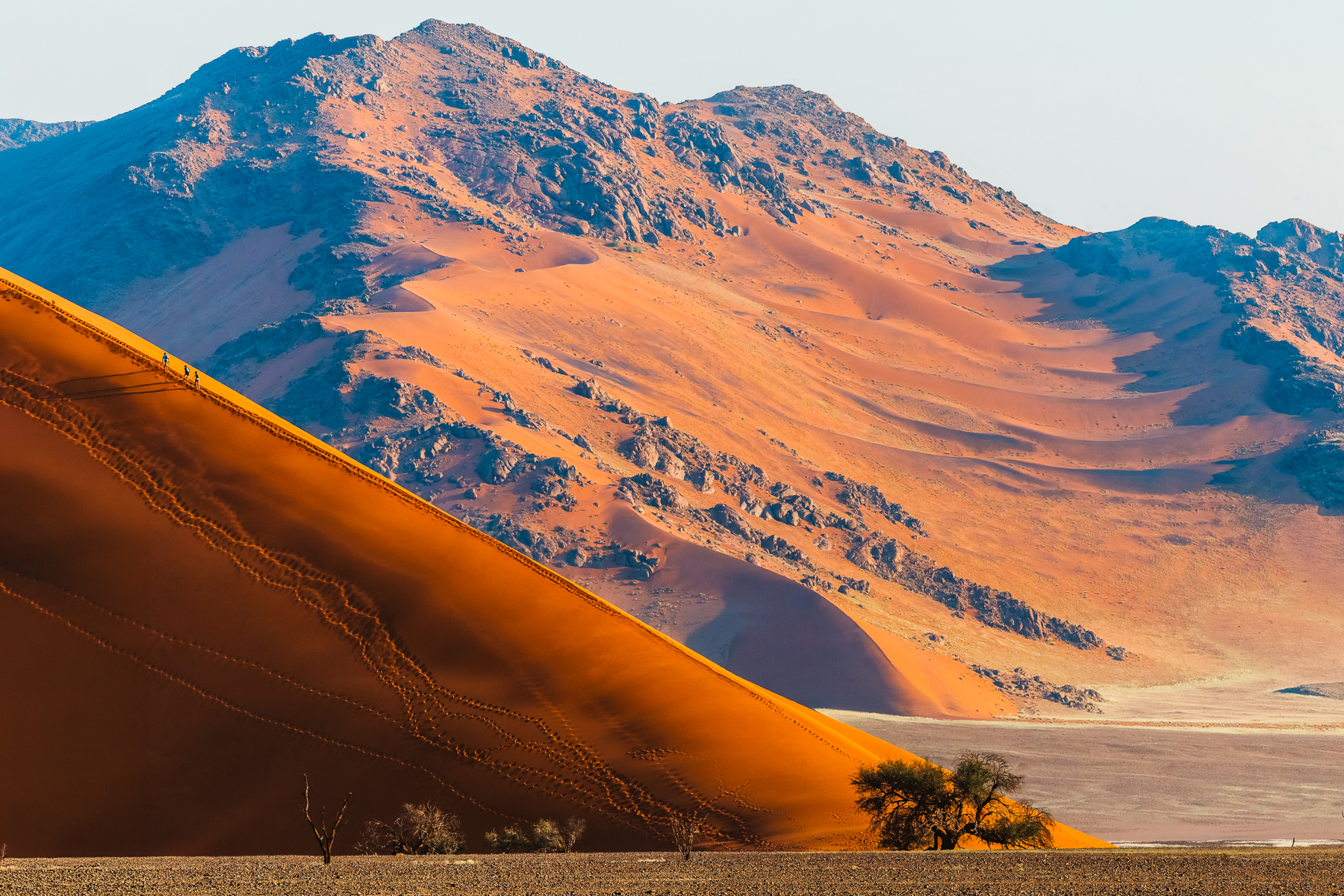 Hikers appear like tiny ants as they start to climb Dune 45, one of the most distinctive red sand dunes in the Sossusvlei area of Namibia's Namib-Naukluft National Park (image by Virginia Wilde)