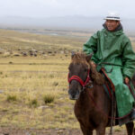On the road from Hustai National Park to Ulaanbaatar, we passed this herder riding across the open steppe with his livestock (image by Ingrid Koedood)