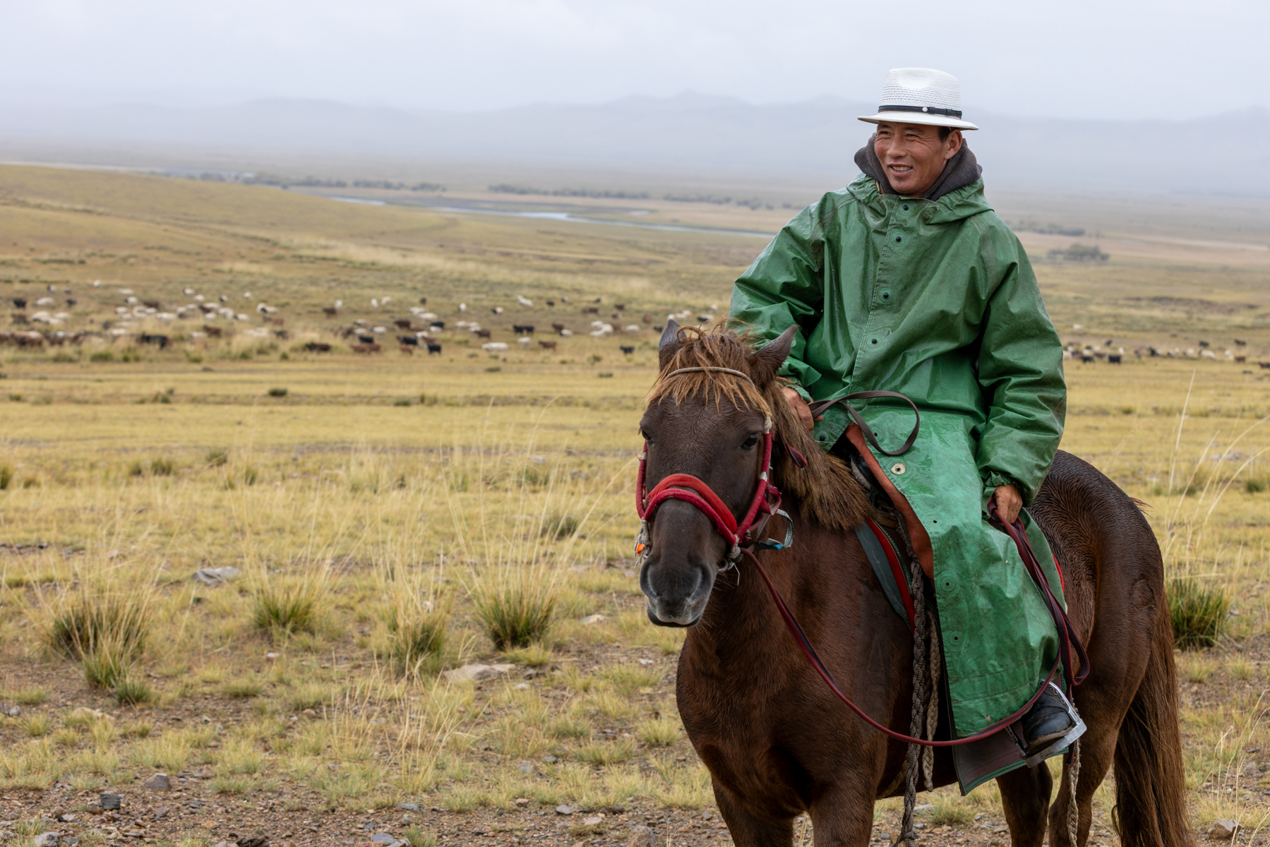 On the road from Hustai National Park to Ulaanbaatar, we passed this herder riding across the open steppe with his livestock (image by Ingrid Koedood)