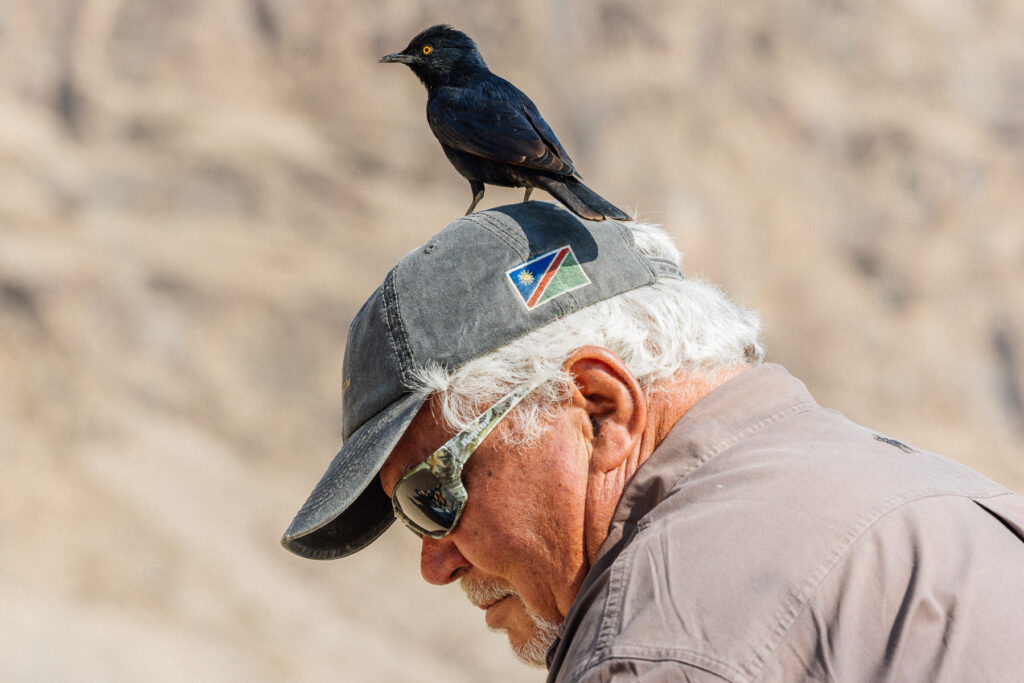 Life is tough in the arid Hoanib River Valley and friends need to stick together. One of our Hoanib guides - Buck - prepares coffee and biscuits for us, along with his Pale-winged Starling pal (image by Virginia Wilde)