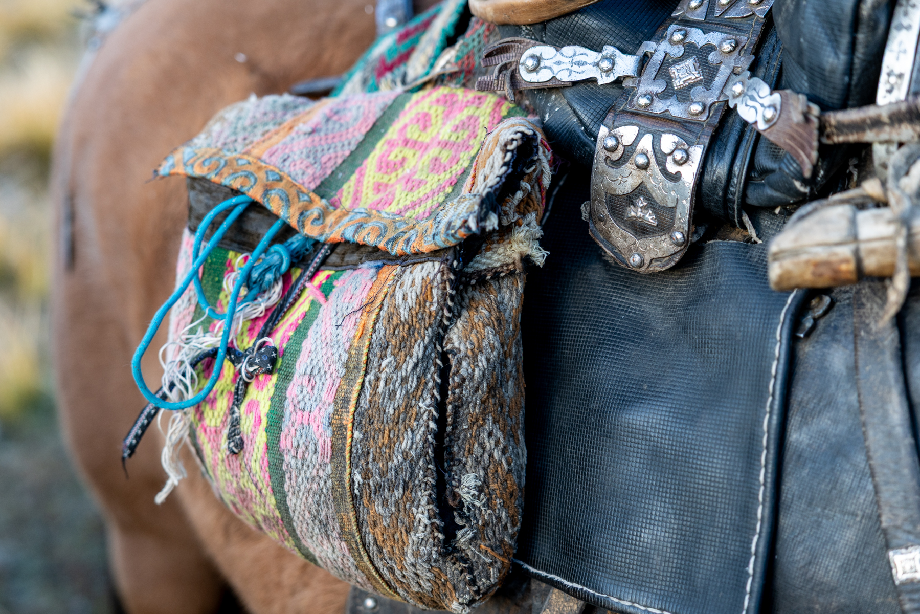 One detail I loved most was the colourful woven horse tack, decorated with traditional patterns and metalwork (image by Ingrid Koedood)