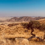 Some of the scenery during our road trip drives was stark and breathtaking. This view is just one of thousands we saw during our 2,000km trek (image by Virginia Wilde)