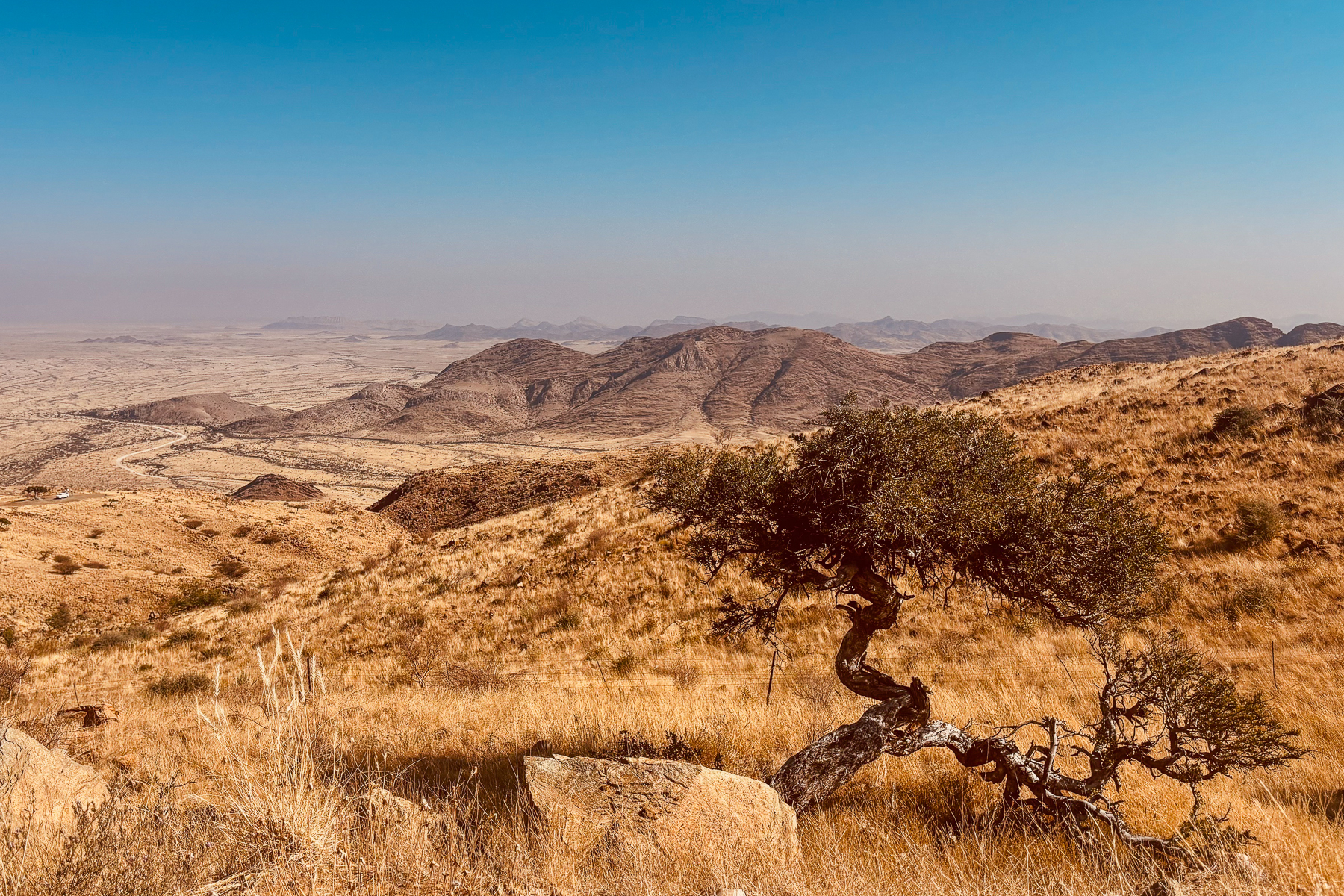 Some of the scenery during our road trip drives was stark and breathtaking. This view is just one of thousands we saw during our 2,000km trek (image by Virginia Wilde)