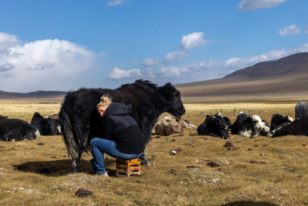Odette tries milking a yak during our visit to a local family (image by Ingrid Koedood)