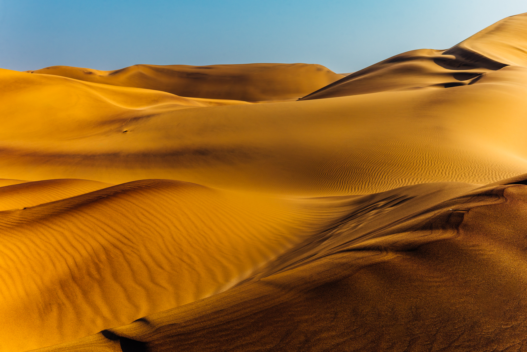 Ripples and folds in the sand - when combined with dawn or evening light - reveal the constantly shifting textures of the Namib Desert. The simplicity of these desert scenes make the landscape feel almost abstract (image by Virginia Wilde)
