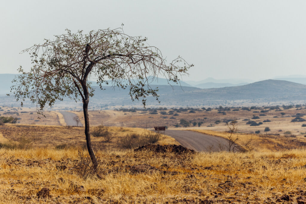 The road through Namibia's Damaraland - en route to search for Hartmann's Mountain Zebra - was stark and dry, as hazy mountains filled the horizon beyond (image by Virginia Wilde)