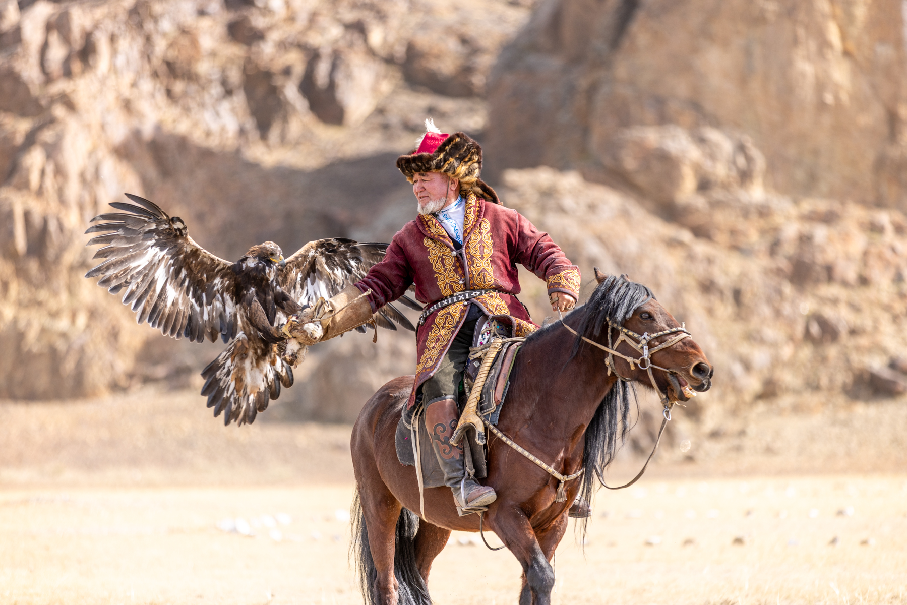 The game of Shakiru, the eagle flies back to its hunter and lands on his arm (image by Ingrid Koedood)