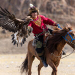 During the eagle festival, Shakiru competes on horseback as his golden eagle lands on his arm (image by Ingrid Koedood)