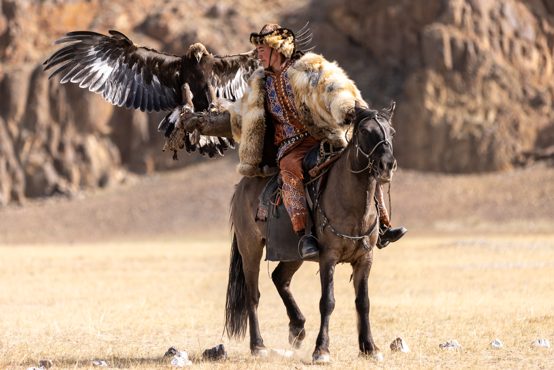 During the eagle festival, the golden eagle is released from high on the mountain and must respond to its hunter’s call. The faster it reaches and lands on the hunter’s arm, the more points are rewarded (image by Ingrid Koedood)