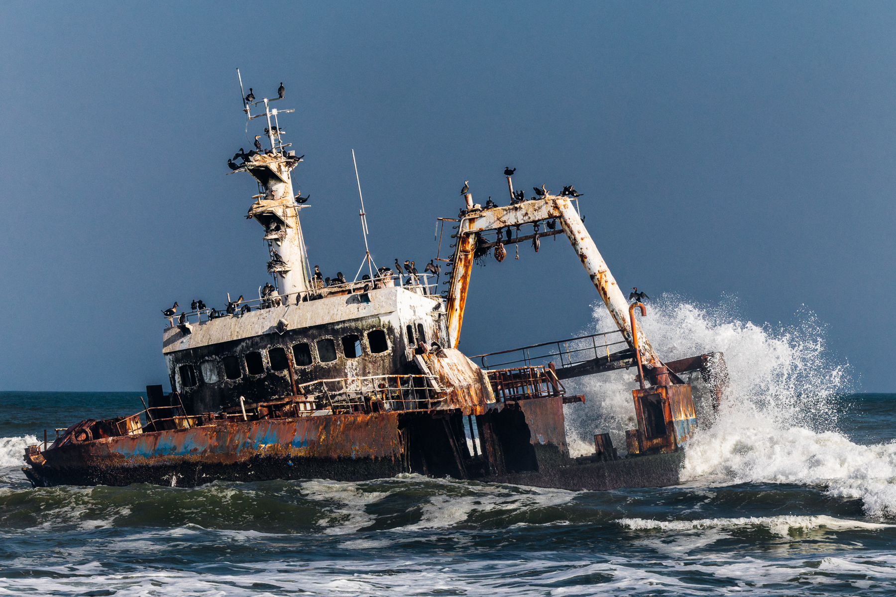 The wreck of the Zelia lies stranded on Namibia's Skeleton Coast, its rusting hull battered by the Atlantic surf. Hundreds of Cape cormorants have claimed the remains of the vessel as a perch, covering its masts and hull (image by Virginia Wilde)