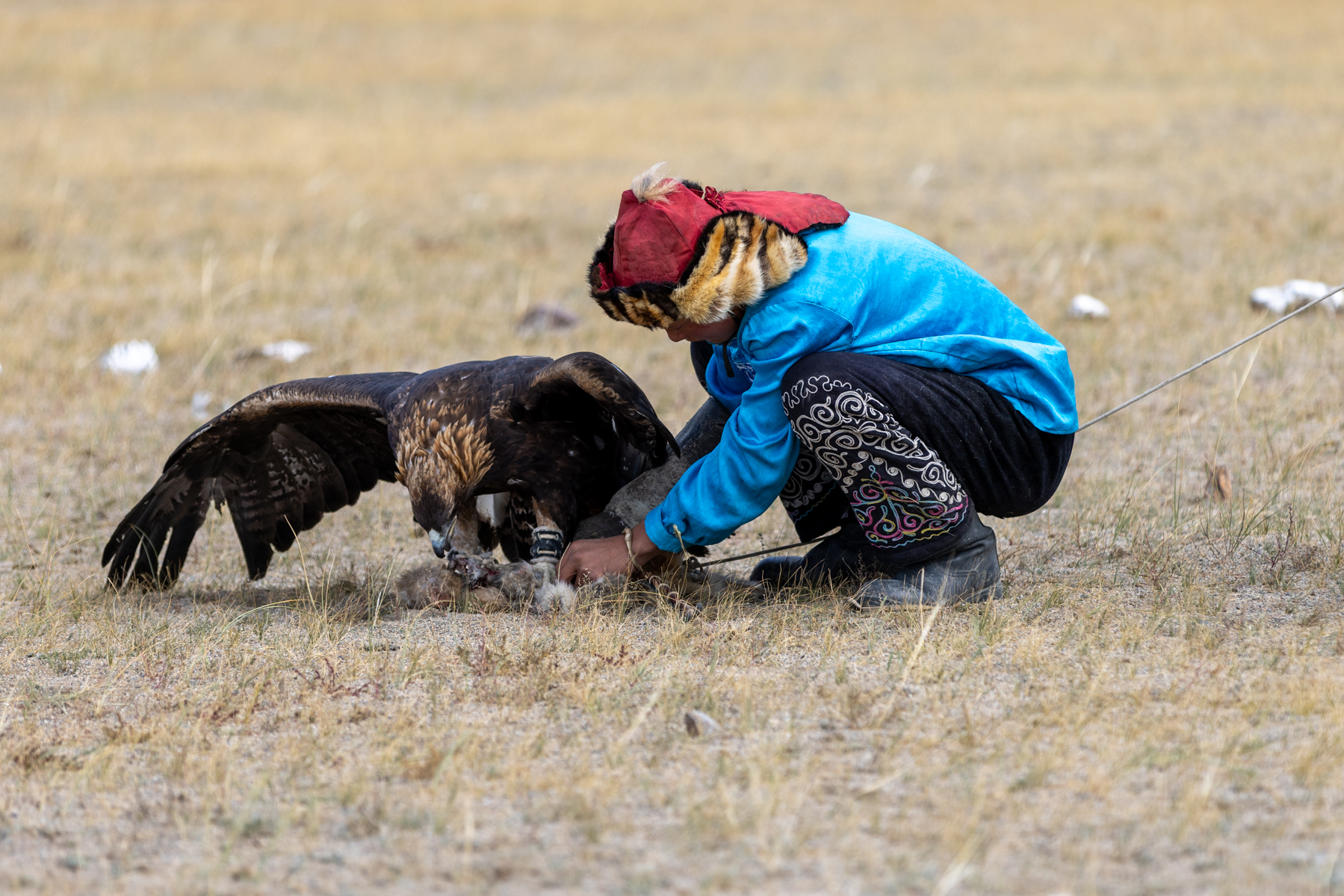 During the shyrga competition at the Eagle Hunters festival, the golden eagle must seize a fox skin used as a lure. Once the eagle has taken hold of its ‘prey’, the hunter has the not-always-easy task of getting it to let go again (image by Ingrid Koedood)