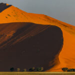 The Sossusvlei dune known as 'Big Mama' rises 200 metres (656ft) over the pan, showing a sweeping dark shadow across its face. 'Big Mama' lies north of 'Big Daddy' in the Namib Sand Sea UNESCO site (image by Virginia Wilde)