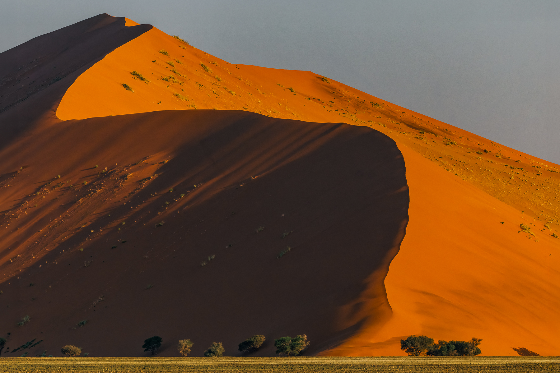The Sossusvlei dune known as 'Big Mama' rises 200 metres (656ft) over the pan, showing a sweeping dark shadow across its face. 'Big Mama' lies north of 'Big Daddy' in the Namib Sand Sea UNESCO site (image by Virginia Wilde)
