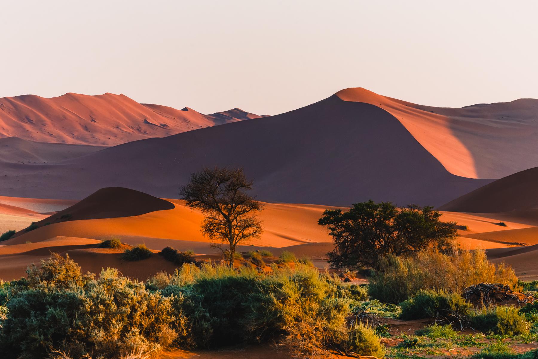 This year's Namibia tour group had a wonderful morning photographing the dunes of Sossusvlei, one-by-one, as the sun slowly rose and deepened the shadows, before it climbed high enough in the sky for contrast to decrease (image by Virginia Wilde)