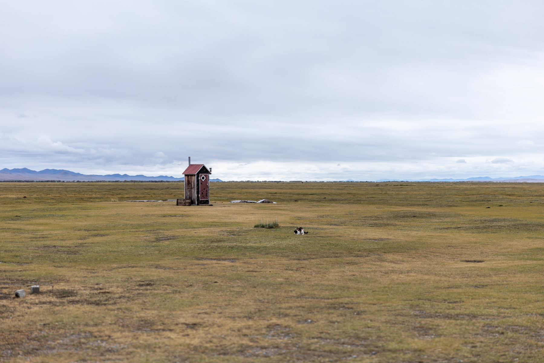 A tiny toilet stands alone in the vast landscape during our visit to a Mongolian family near Hustai (image by Ingrid Koedood)
