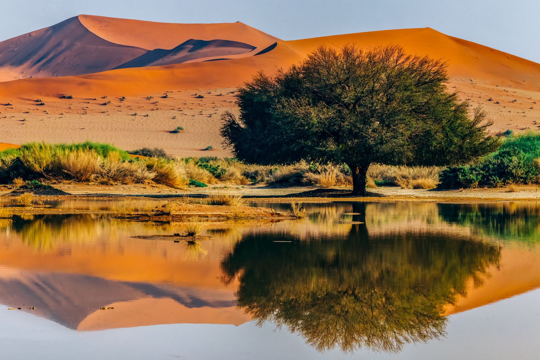 These reflective pools only develop by the Sossusvlei dunes about once every decade - brought on by heavy rainfall into the Tsauchab River. So we were incredibly lucky to have these wonderful conditions during our tour (image by Virginia Wilde)