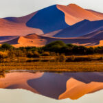 A wide-angle 'classic' view of the Sossusvlei dunes, but made all the more special thanks to the once-in-a-decade event where the ephemeral pans fill up with water, creating striking reflections. Here, the mirrored landscape doubles the sculptural forms of the Namib, bringing together the desert's renowned colour, light and geometry (image by Virginia Wilde)