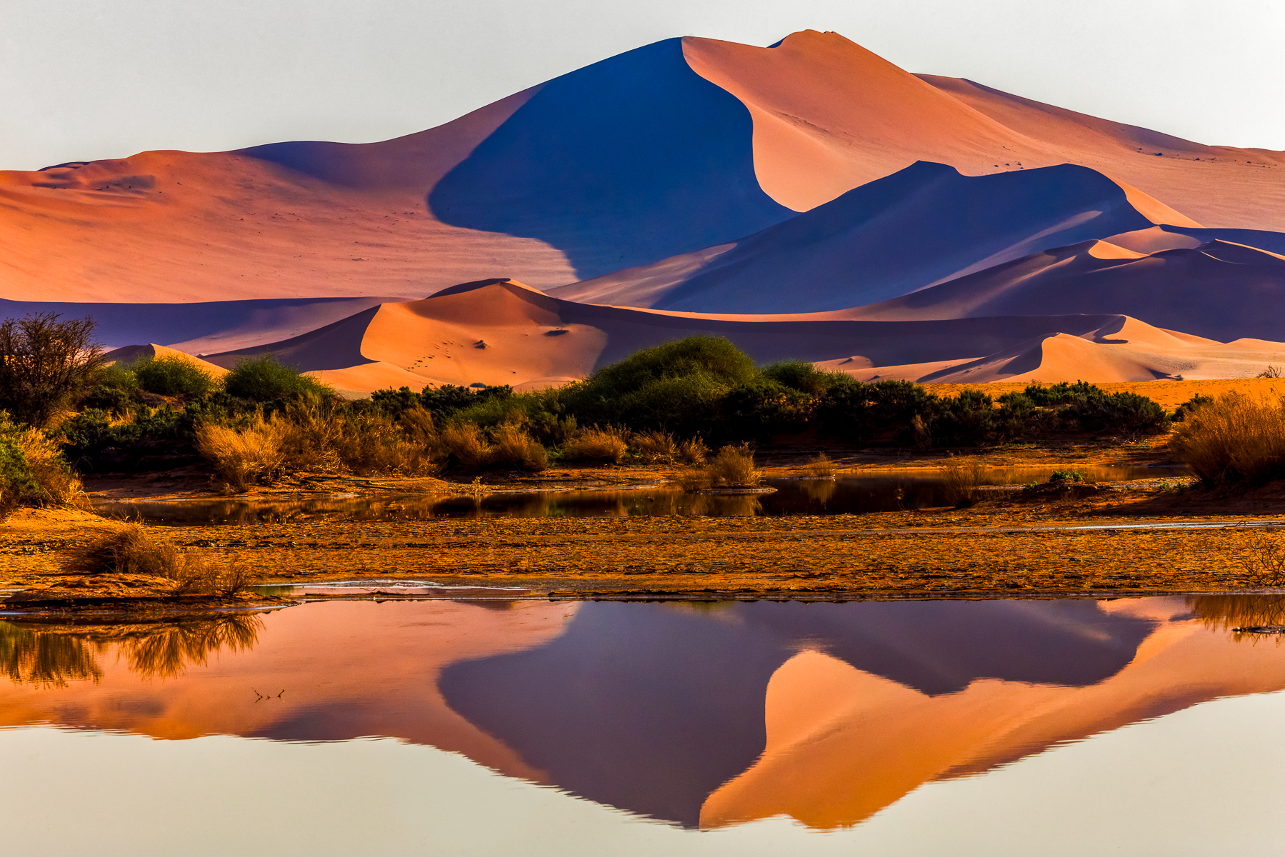 A wide-angle 'classic' view of the Sossusvlei dunes, but made all the more special thanks to the once-in-a-decade event where the ephemeral pans fill up with water, creating striking reflections. Here, the mirrored landscape doubles the sculptural forms of the Namib, bringing together the desert's renowned colour, light and geometry (image by Virginia Wilde)