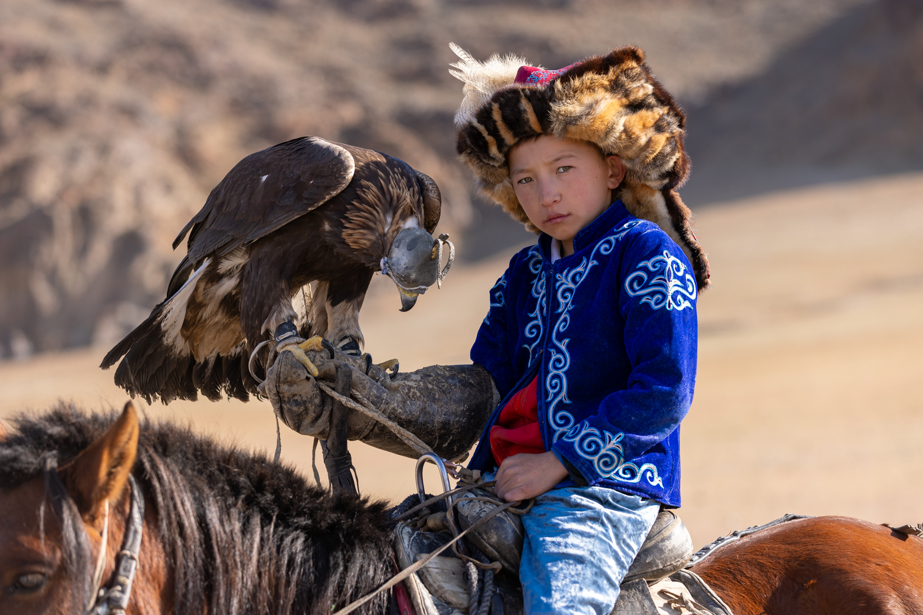 The tradition of eagle hunting is passed down through generations, with children learning from an early age how to ride, handle and care for their golden eagle (image by Ingrid Koedood)