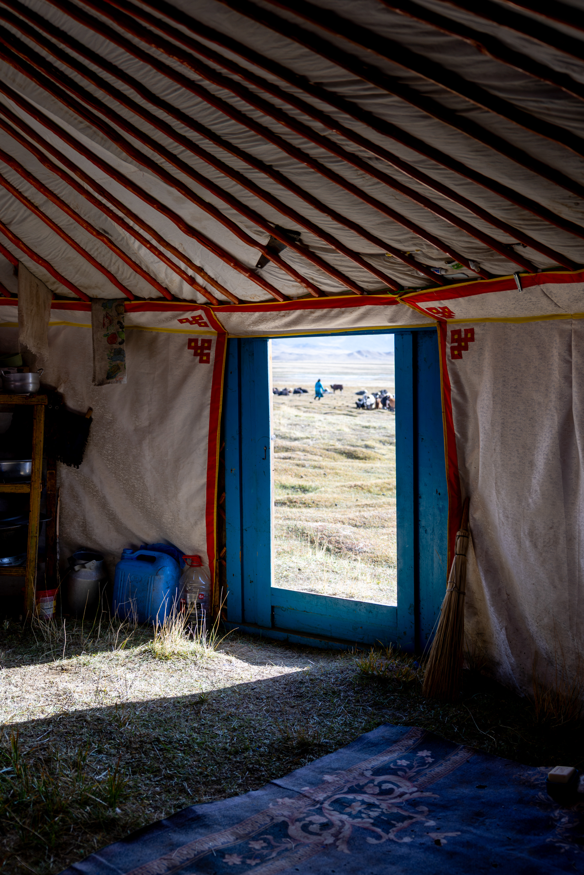 Looking out from inside the yurt, while the yaks are being milked just outside (Image by Ingrid Koedood)